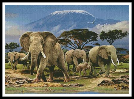 Kilimanjaro Morning  (Howard Robinson)