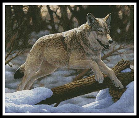 Just For Fun  (Crista Forest)