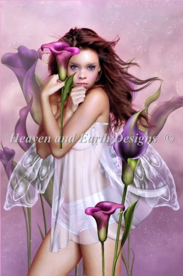 Lilly - Amaral