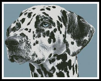 Dalmation Portrait  (Anja Osenberg)