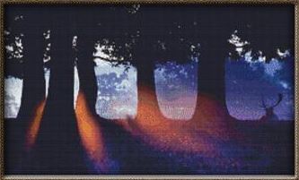 Forest Sunset