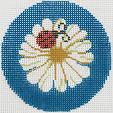 Ladybug on Daisy