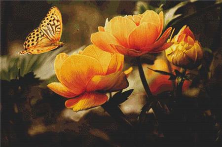 Flowers and a Butterfly