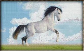 Majestic White Mare