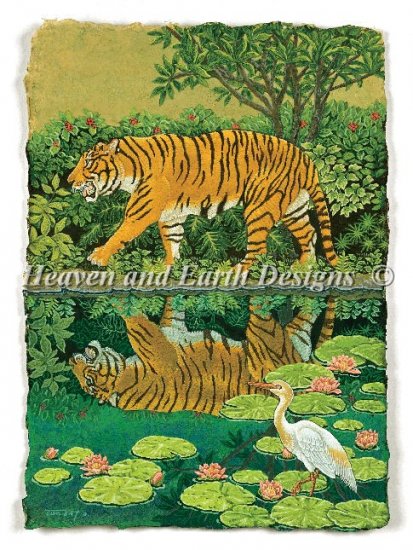 Amur Tiger