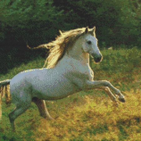 Prancing Pony