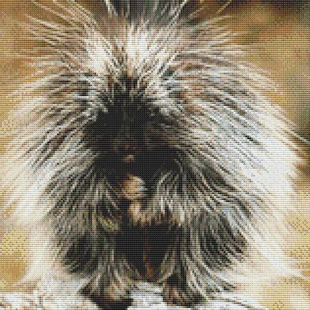 Prickly Porcupine