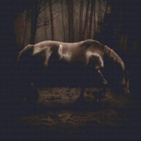Dark Horse