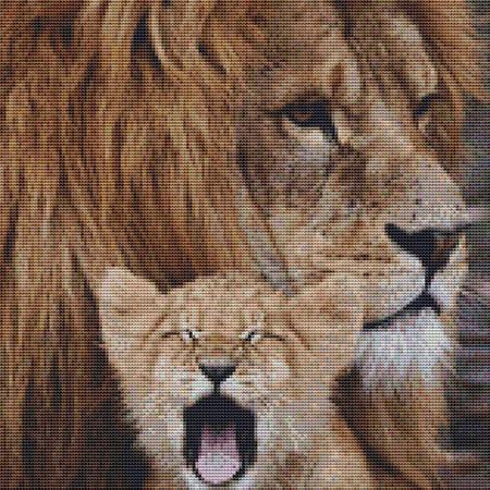 Yawning Lion Cub