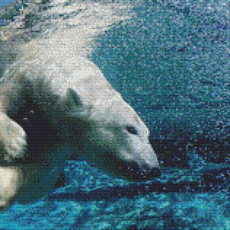 Diving Polar Bear