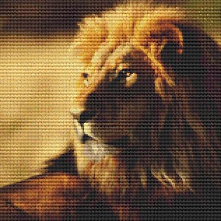 Distant Lion