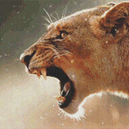 Fierce Lion