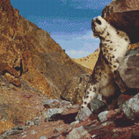 Posing Leopard