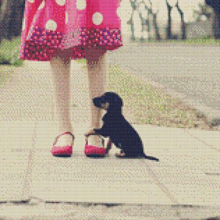 Cute Little Puppy