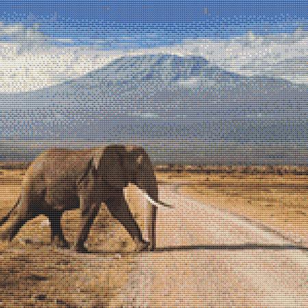 Elephant Crossing