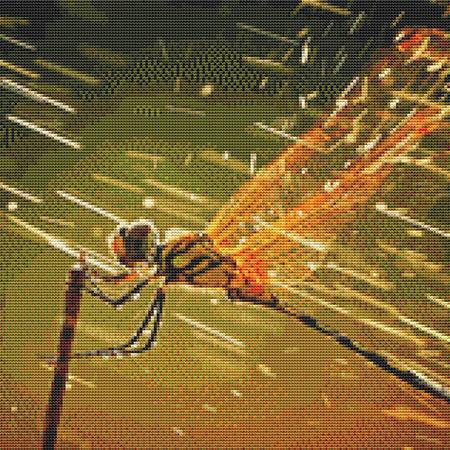 Poised Dragonfly