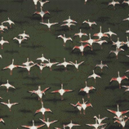 Flamingo Flock
