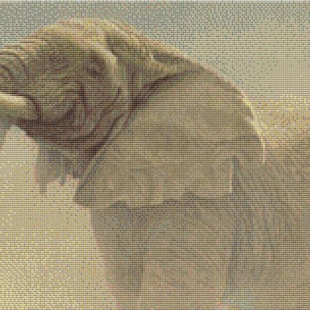 Dusty Elephant