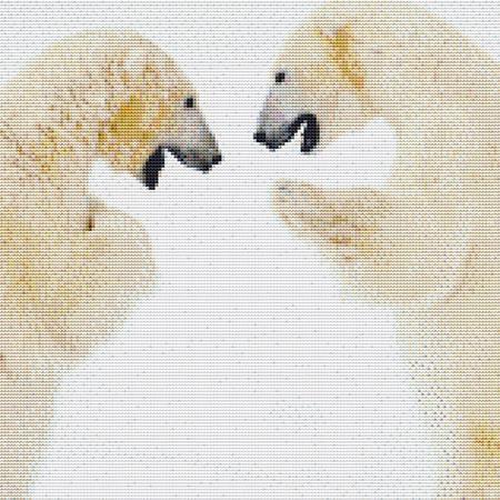 Fighting Polar Bears