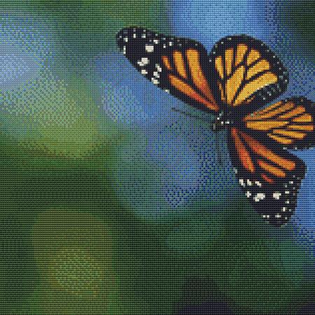 Flying Butterfly