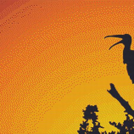 Sunset Silhouette