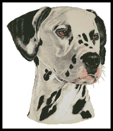 Dalmatian Painting  (Helen Chugg)
