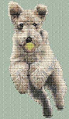 When Dogs Fly