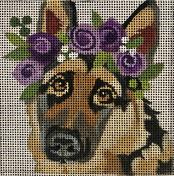 German Shepard