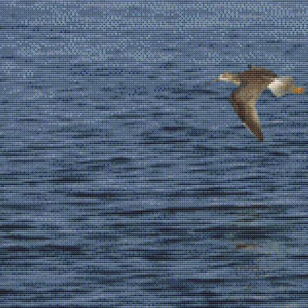 Flying Bird