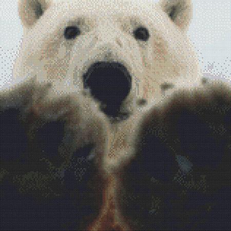 Cute Polar Bear