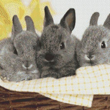 Cute Gray Bunnies