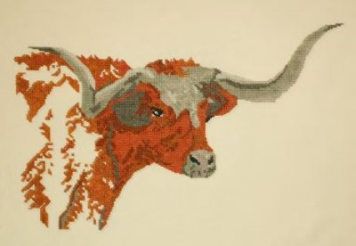 Texas Longhorn