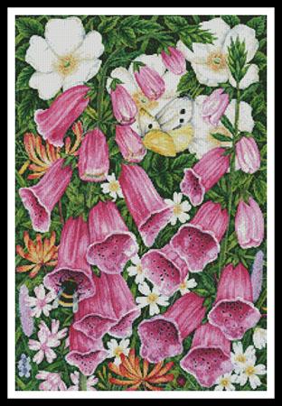 Foxgloves  (Anne Mortimer)