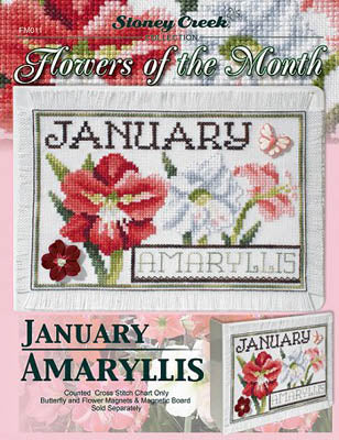 Flowers of the Month - January Amaryllis