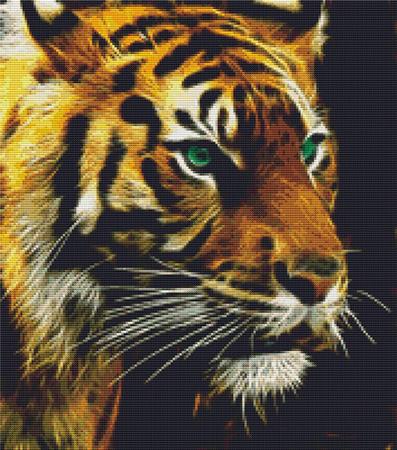 Green Eyed Tiger