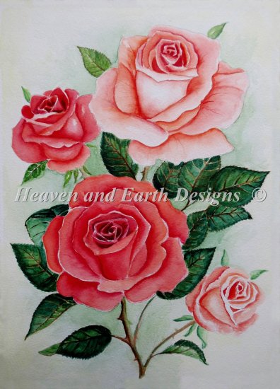 Roses