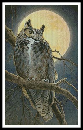 Close Encounter  (Catherine McClung)