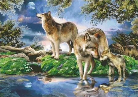 New Moon, A