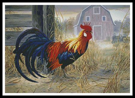 Barnyard Boss  (Randy McGovern)