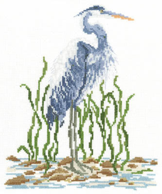 Blue Heron  
