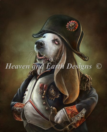 Napoleon Boneparte