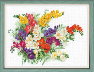 Freesia
