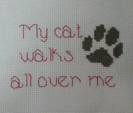My Cat/Dog Walks