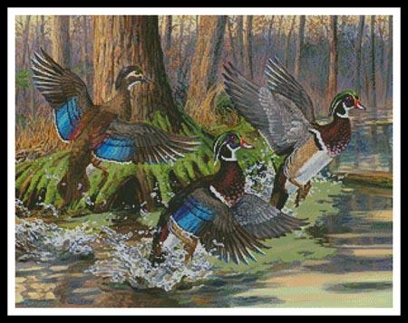 Splash Of Color, A  (Randy McGovern)