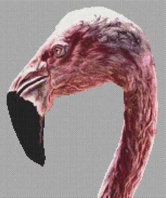 Flamingo 2