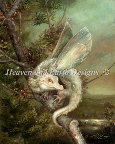 Draco Floris