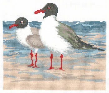 Laughing Gulls