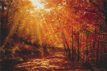 Red Forest