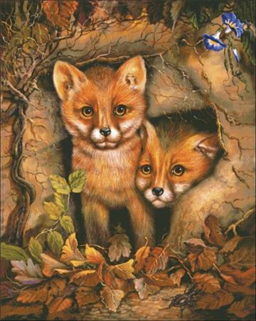 Fox Cubs