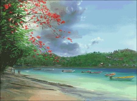 Laborie Bay With Flamboyant Tree